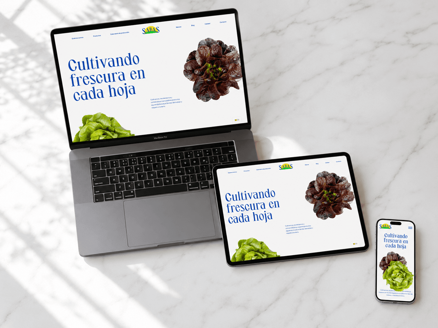 Diseño web responsive en múltiples dispositivos en Cartagena - Chillypills