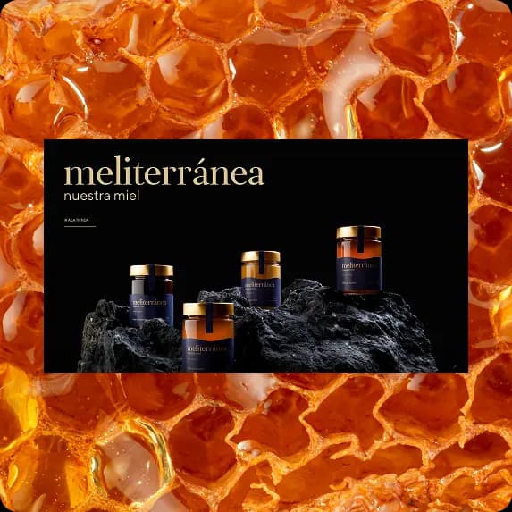 Proyecto Meliterránea - Chillypills