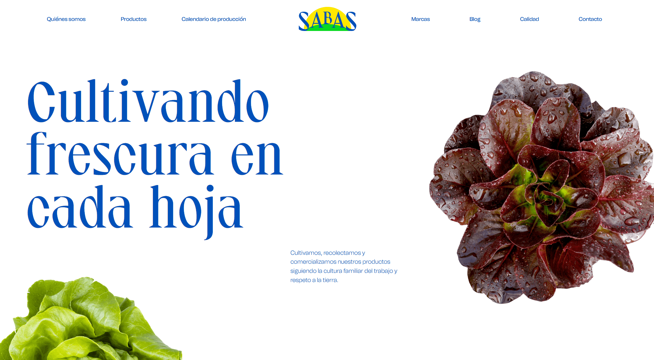 Agrosabas - Naming