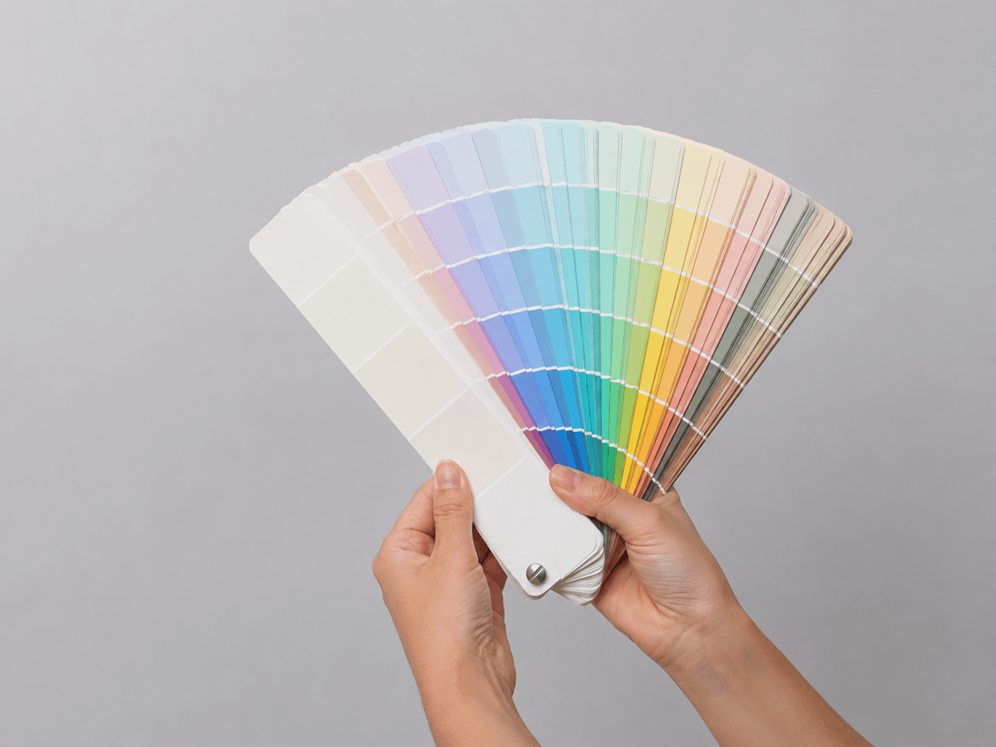 Que es una pantonera o pantone